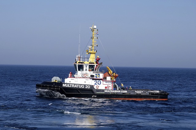 shipping
